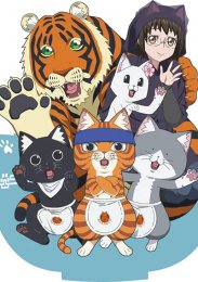 Рамэнная рыжего кота, Сезон 1